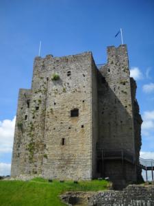 Trim Castle